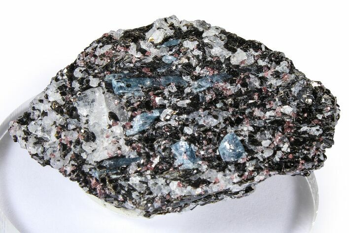 Fluorescent Kyanite & Garnet in Biotite-Quartz Schist - Russia #380659